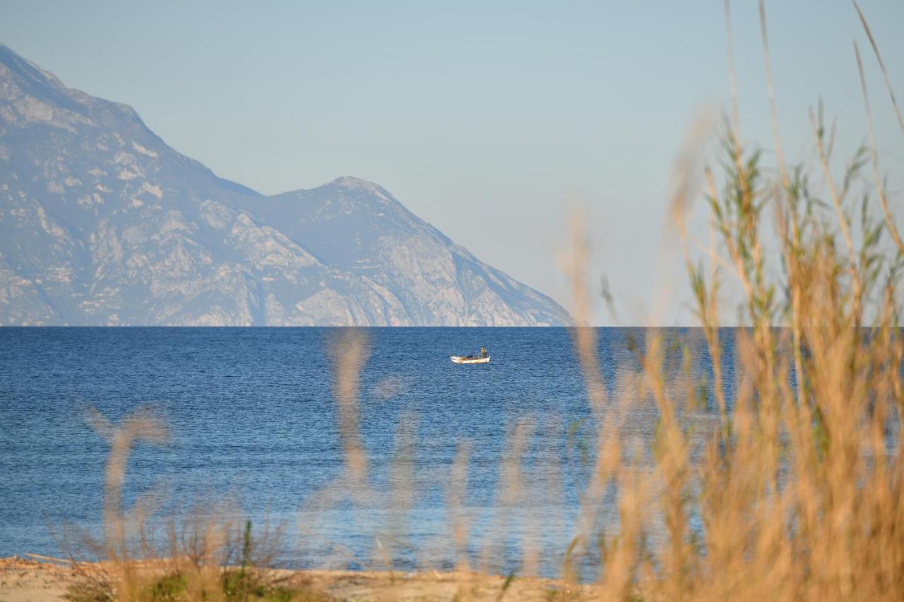 Villa Menie - Golden Fig Sykia Lodge Paralia Sikias Luaran gambar